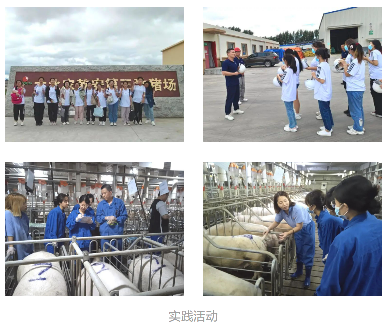 1705557448681064.png image.png